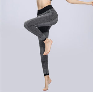 Quick Drying High Elasticity Yoga Pants